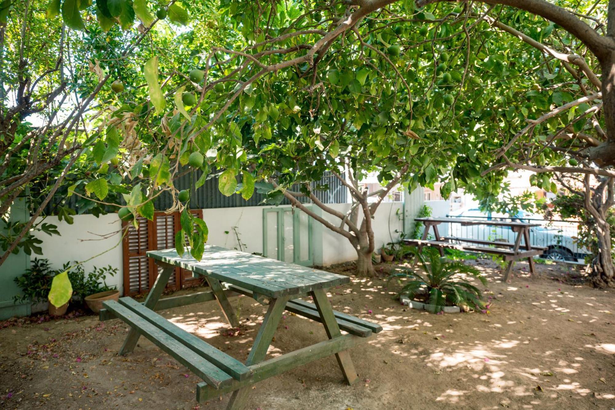 Apartment Diamante Guest House-stone